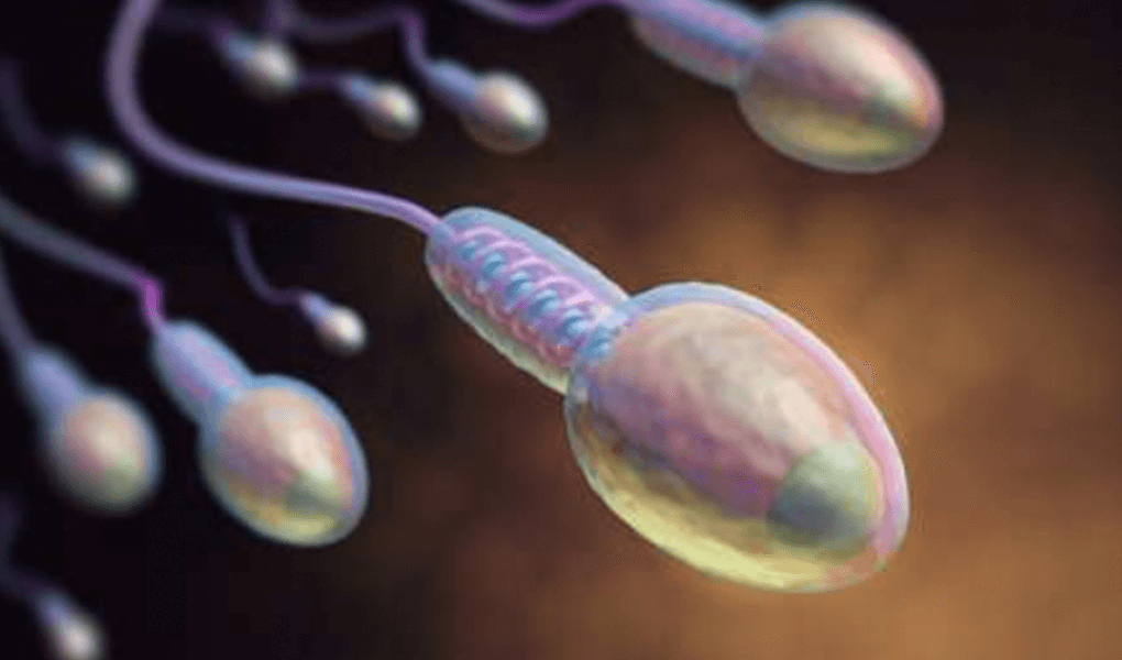 Sperm sayısının düşük olma nedeni