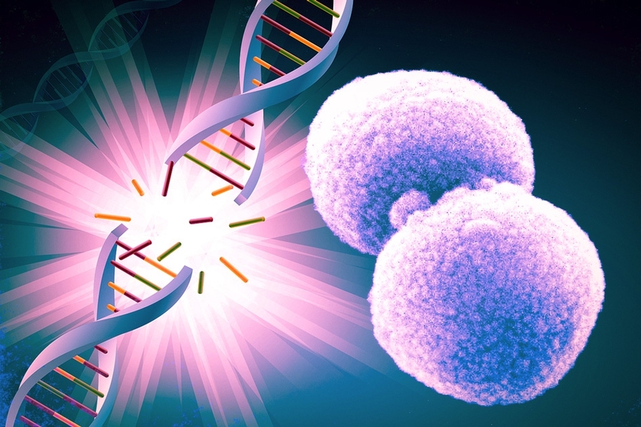 Hücreler DNA'yı Çekirdeğe İki Farklı Yolla Sıkıştırır