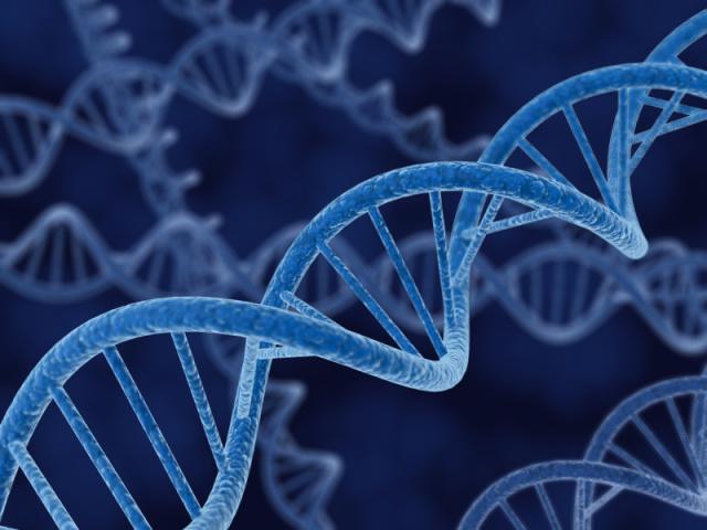 Hücreler DNA'yı Çekirdeğe İki Farklı Yolla Sıkıştırır