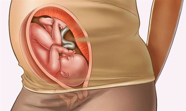 Hamileliğin 30. Haftasında Bebek Gelişimi Kontrol Listesi