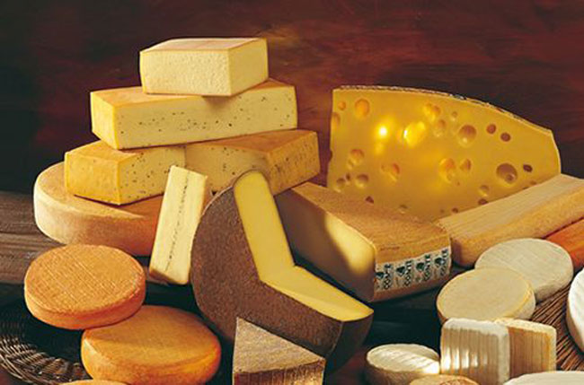 Dünyanın En Büyük 12 Peynir Üreticisi Şirketi Kazançları